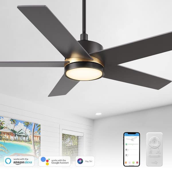 Lakeland 52 in. Integrated LED Indoor/Outdoor Black Smart Ceiling Fan with Light and Remote, Works w/Alexa/Google Home