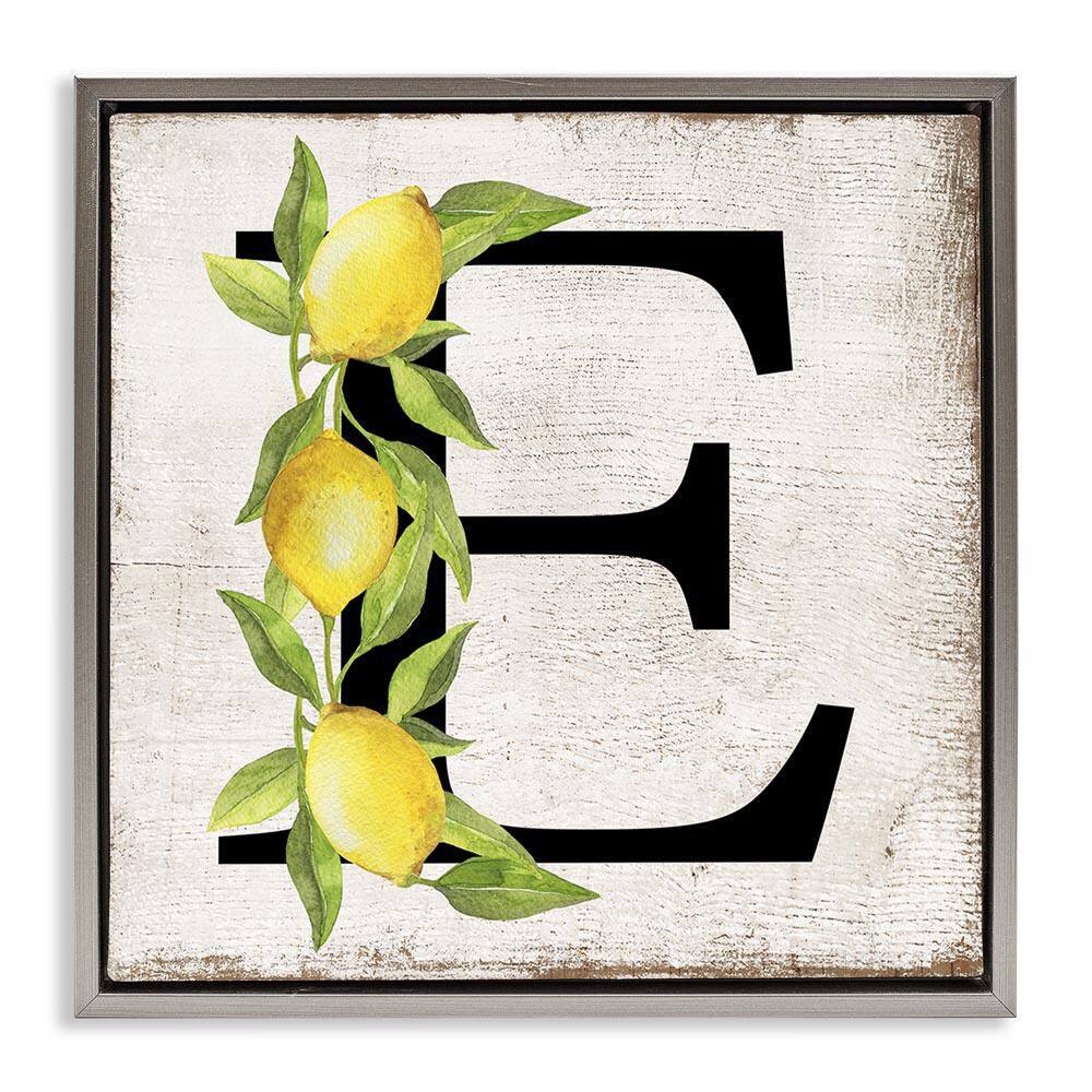 E with Lemon Letter by Creatif Belle Gray Floater Frame Food Graphic Art Print 18 in. x 18 in. price history on PriceWatchPro