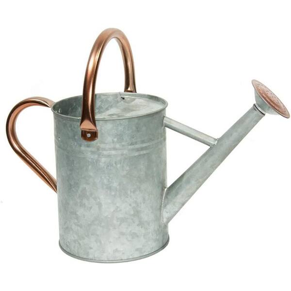 Dyiom 1 gal. Outdoor Steel Watering Can Sliver Galvanized Steel