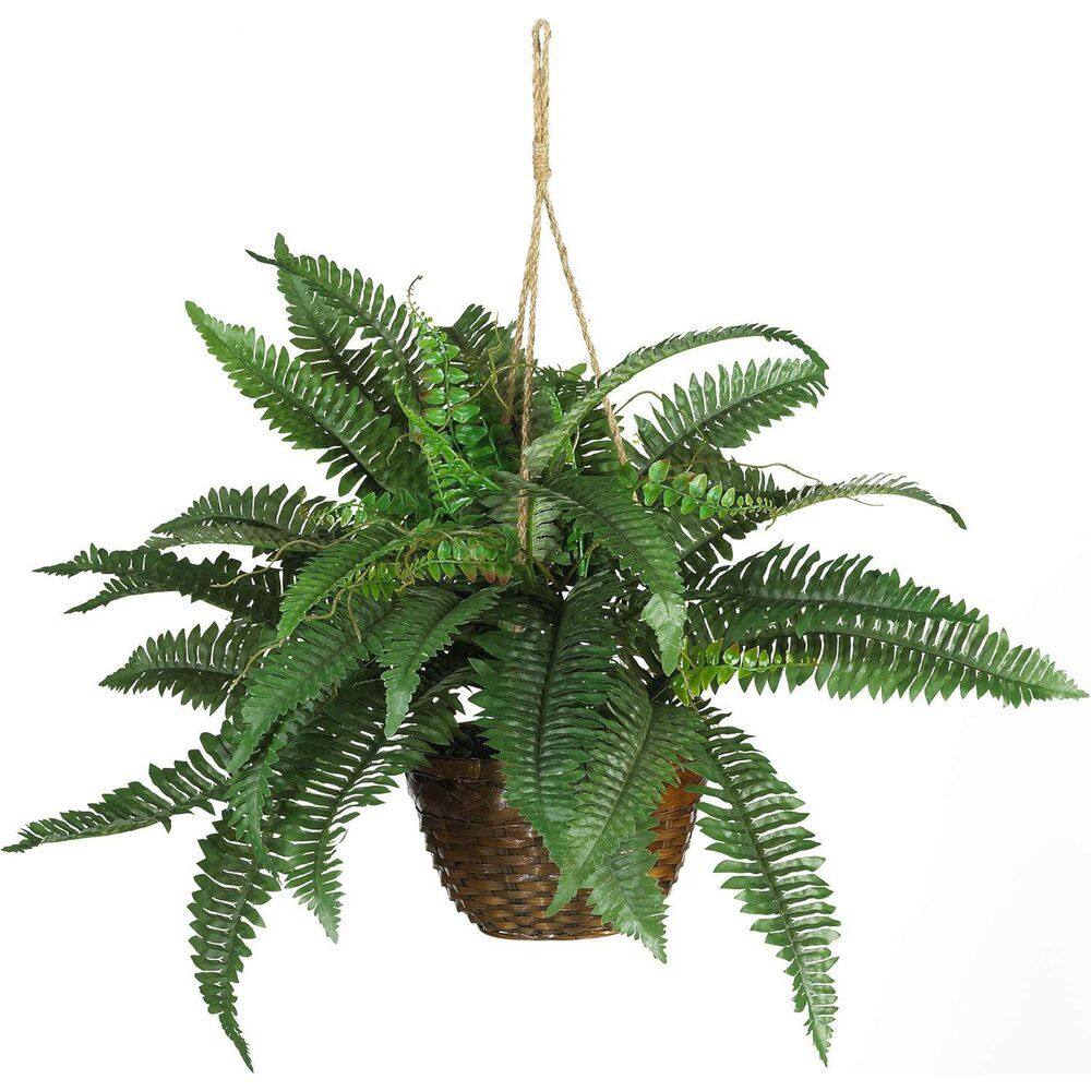 25 in. Green Boston Artificial Fern 1-Pack