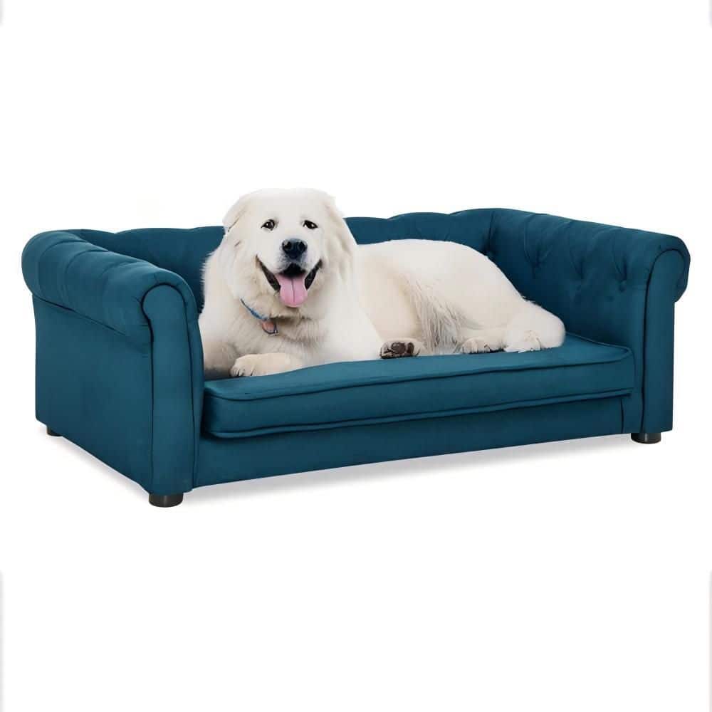 Elegant Rectangle Pet Bed Elevated Dog Sofa Bed for Small and Medium Dogs, Blue price history on PriceWatchPro