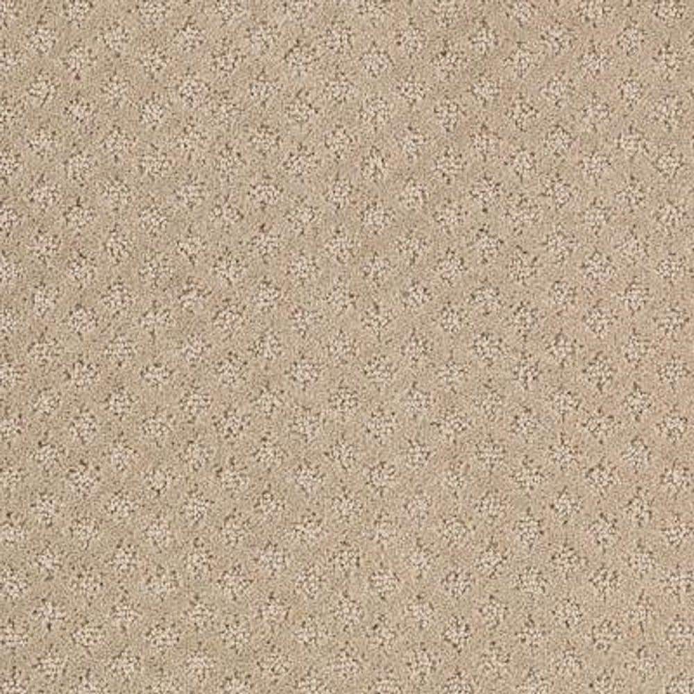 8 in. x 8 in. Pattern Carpet Sample - Lilypad -Color Taupe Whisper price history on PriceWatchPro