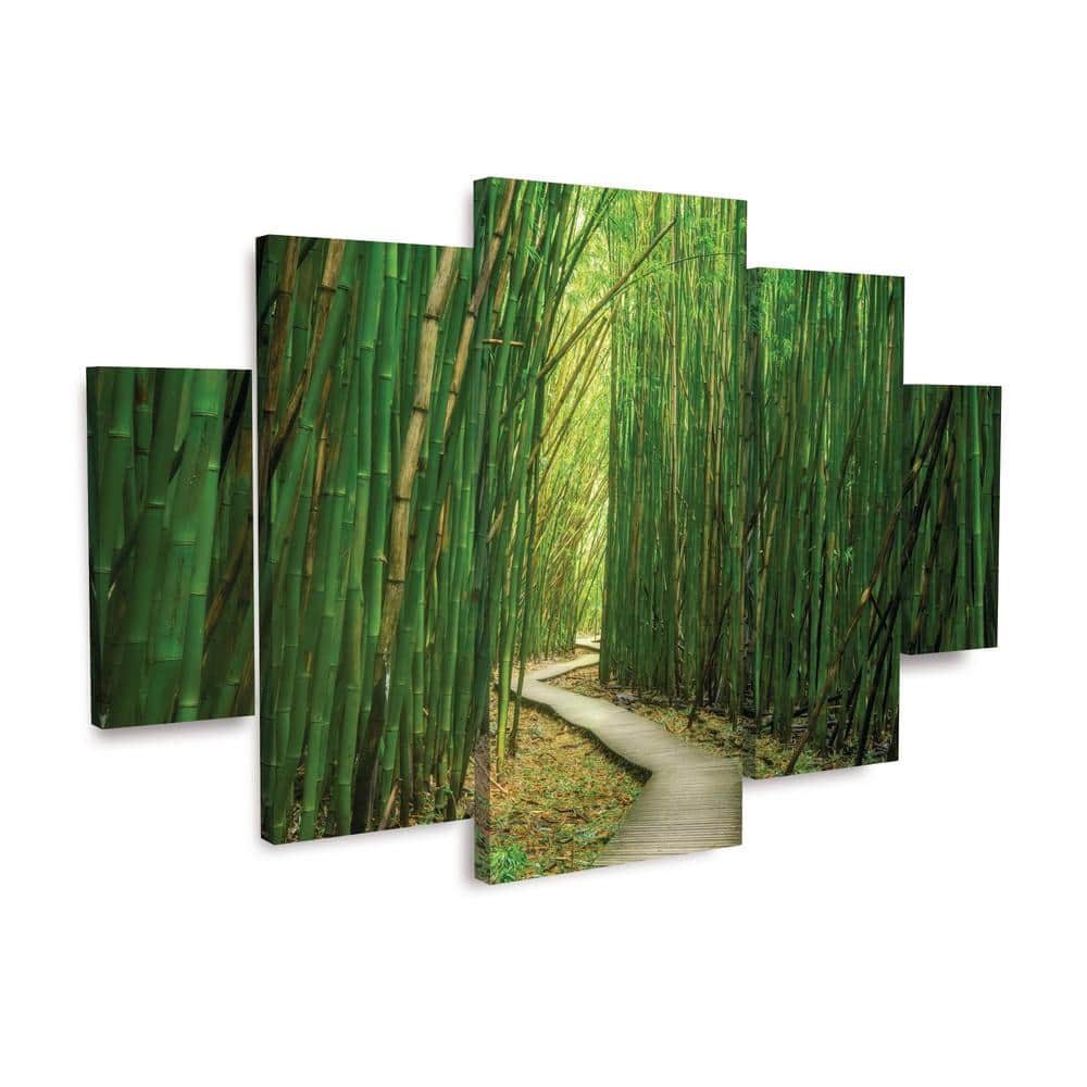 Dennis Frates Bamboo Path Green Canvas 5-Piece Wall Art Set