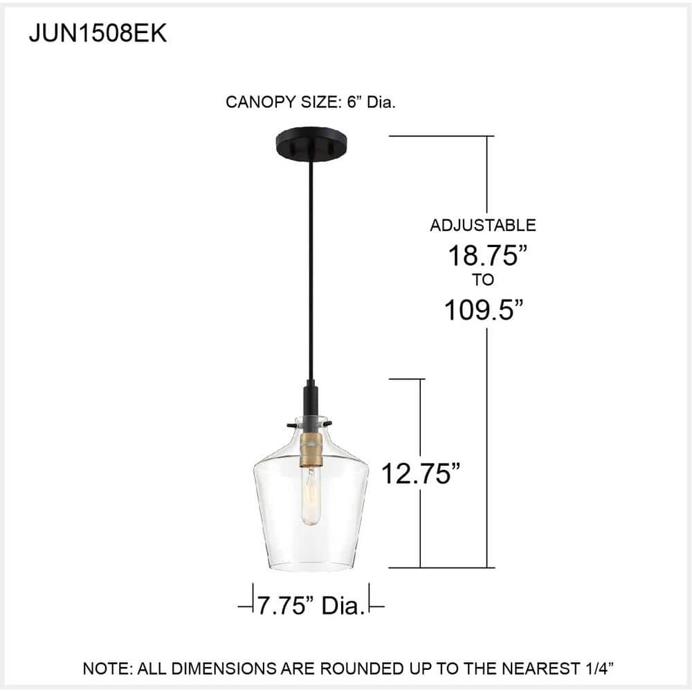 June Earth Black Mini Pendant with Clear Glass Shade and Brass Sockets
