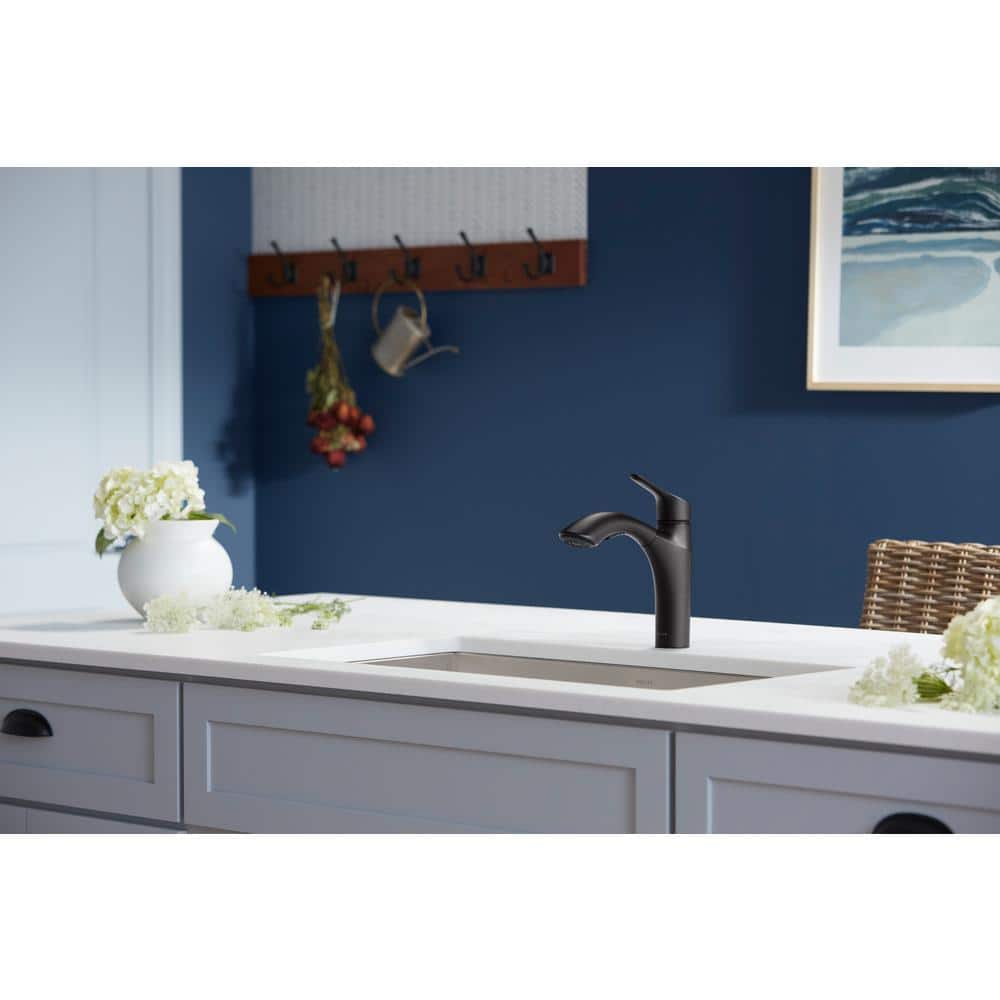 Matte Black Single-Handle Pull-Out Kitchen Faucet