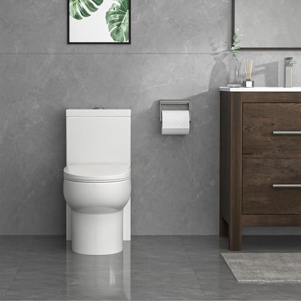 Ceramic Dual Flush 1.1/1.6 GPF Elongated 12 in. Rough-In 1-Piece Toilet in Glossy White with Soft Closing Seat