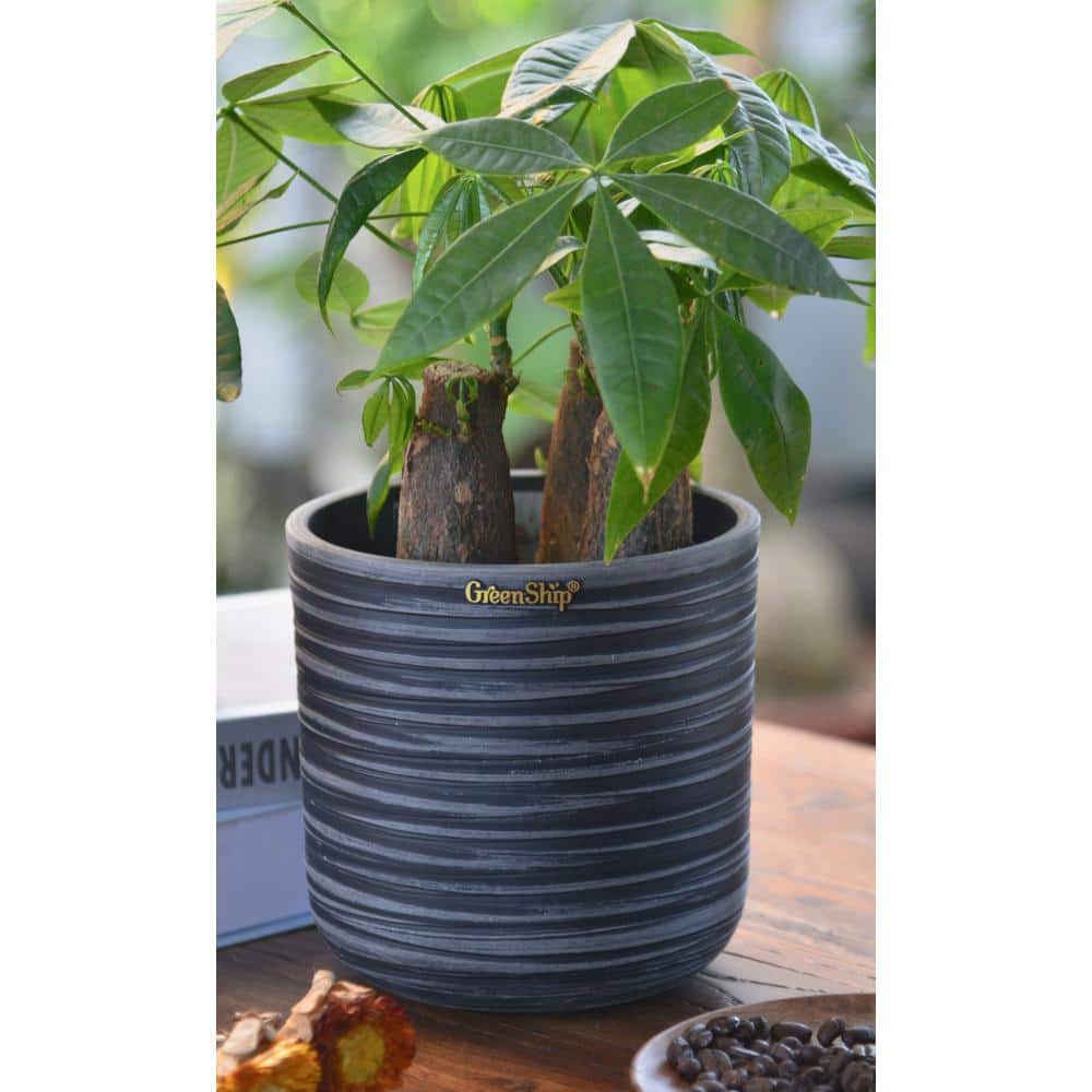 Tall Chocolate Carved Resin Indoor/Outdoor Planter, 9.9 in.