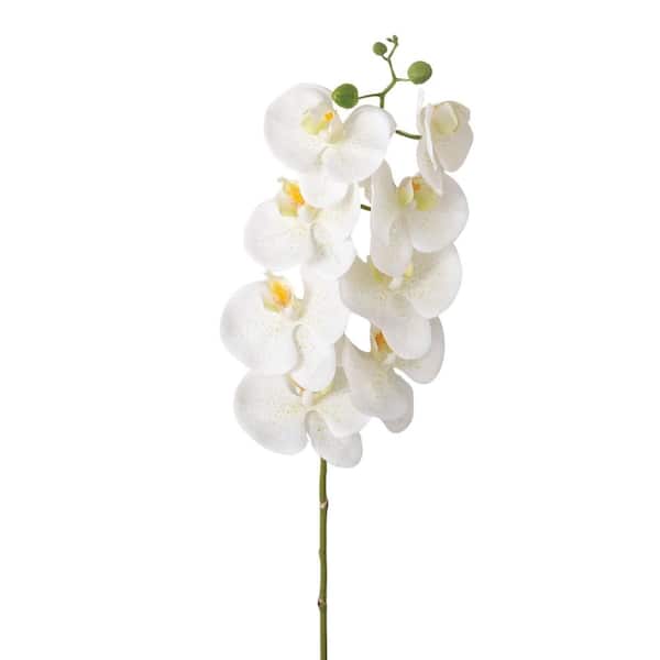 SULLIVANS 35 in. White Indoor Artificial Phalaenopsis Flower Spray