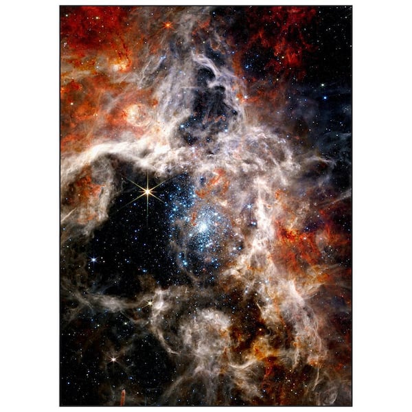 Multi-Colored 8 ft. x 10 ft. The James Webb Space Telescope Washable Art Area Rug