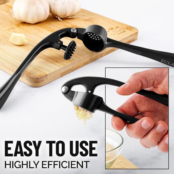 Aoibox 8.4 oz. Garlic Mincer Tool with Sturdy Design Extracts More Garlic  Paste, Soft and easy to Squeeze, Chrome SNPH002IN425 - The Home Depot