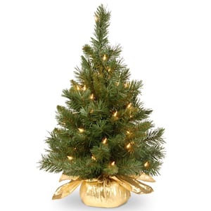 24 in. Majestic Fir Tree with Clear Lights