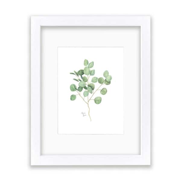 Unbranded Nature's Lace 1 "Silver Dollar Eucalyptus" by Alyssa Lewis Individual White Framed Matted Nature Art Print 20 in.x16 in.