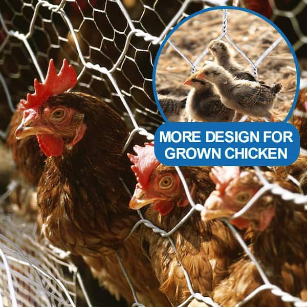 Chicken Fences: Chicken Wire Hardware Cloth Backyard, 46% OFF