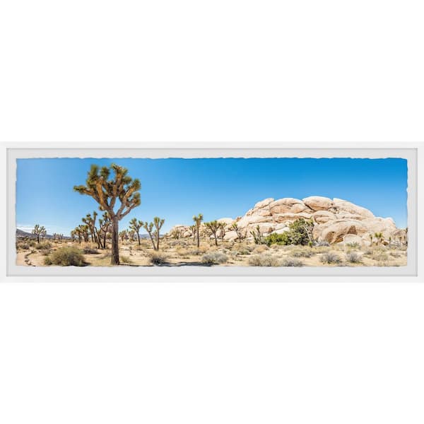 Desierto florido, canvas 50x50 c/marco