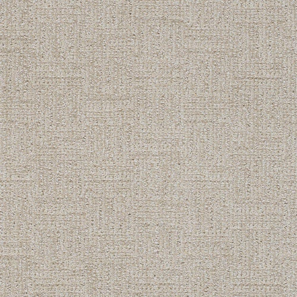 8 in. x 8 in. Pattern Carpet Sample - Nestled Nooks - Color Comfort price history on PriceWatchPro