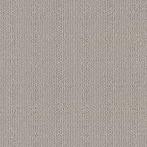 Hickory Lane - Alabaster - Beige 32.7 oz. SD Polyester Loop Installed Carpet