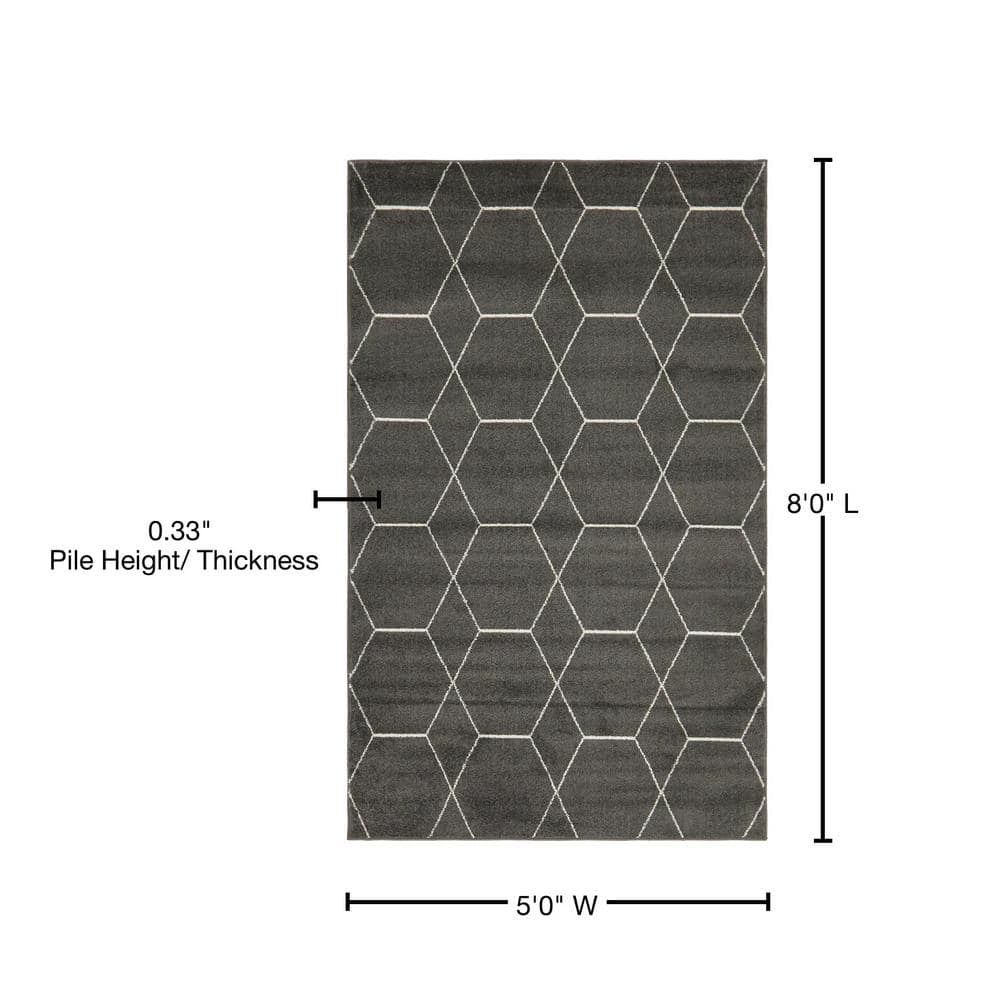 Dark Gray Geometric Trellis Synthetic Area Rug