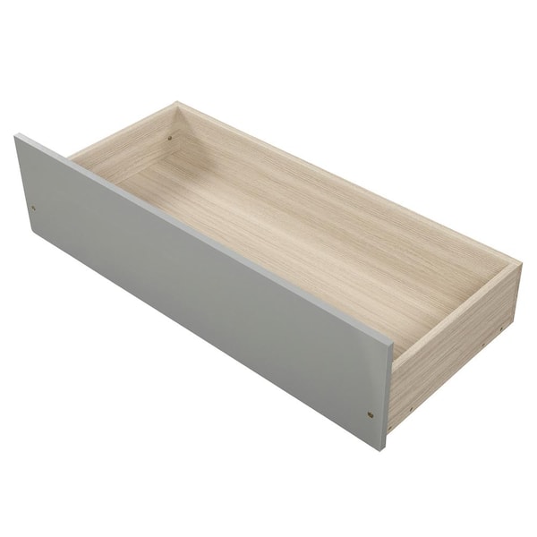 さとみ　2匹 シャトルマルチ50 ｜ 株式会社三晃商会