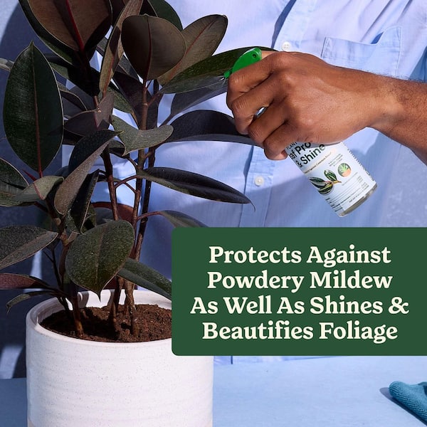Miracle-Gro Plant Care Leaf Protect and Shine 8 fl. oz
