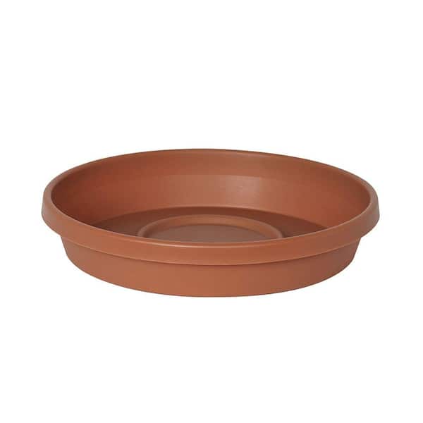 Unbranded 6 x 1 Terra Cotta Terra Plastic Plant Saucer Tray