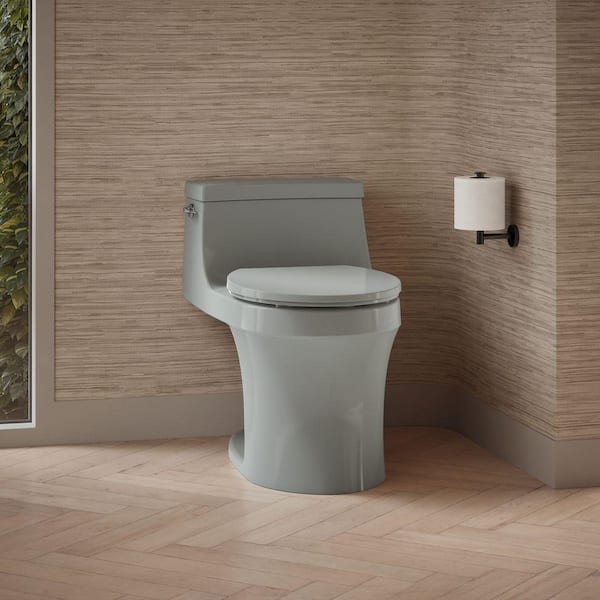 San Souci 12 in. 1-Piece 1.28 GPF Single Flush Round Toilet in Ice Grey (Seat Included)