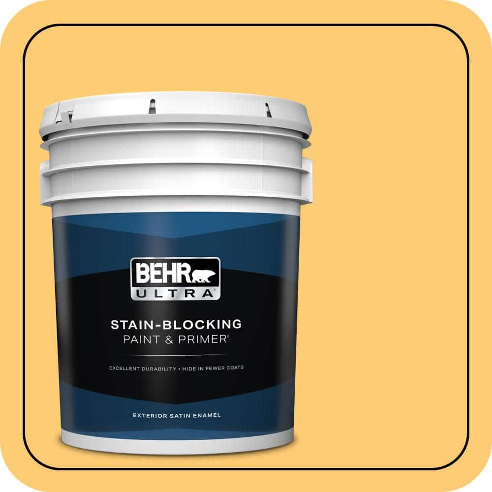 5 gal. #310B-5 Spiced Butternut Satin Enamel Exterior Paint & Primer price history on PriceWatchPro