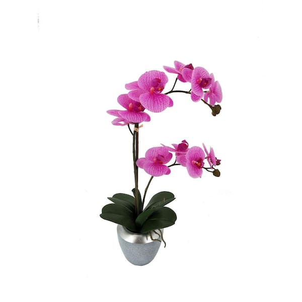 Mikasa Real Touch 21 in. Pink Fuchsia Artificial Phalaenopsis Orchidin Pot