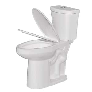 19 in. 2-Piece Toilet Dual Flush 1.1/1.6 GPF Map Flush 1000g Elongated White Toilet With Soft Close Seat 12 in. Rough in