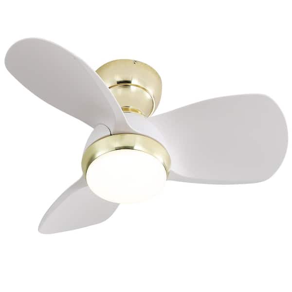 Sofucor 23 in. Integrated LED Indoor/Outdoor Gold Small Modern Ceiling Fan with Light and 6-Speed DC Remote Control