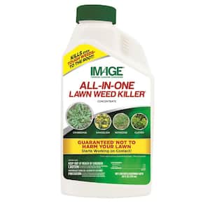 24 oz. 8,000 sq. ft. All-In-One Lawn Weed Killer Concentrate for 100-Plus Weed Types