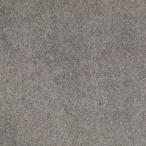 Coral Reef I - Earthly Gray - 65.5 oz. Nylon Texture Installed Carpet