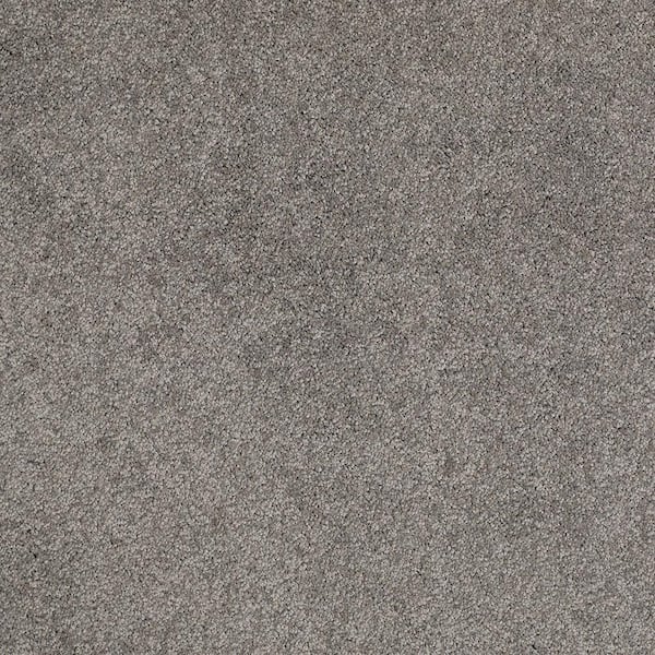 Lifeproof Coral Reef I - Earthly Gray - 65.5 oz. Nylon Texture Installed Carpet
