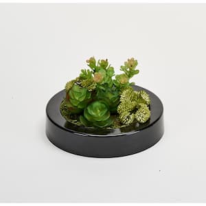 7 in. Artificial Dish Garden of Succulents in Round Black Plastic Container
