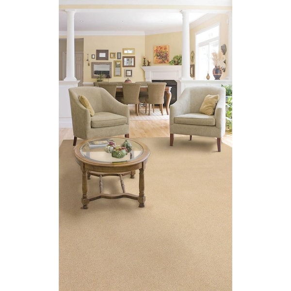 Natco Twist Natural 8 ft. x 12 ft. Bound Carpet Remnant ST812 - The Home  Depot