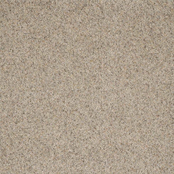 Home Decorators Collection 8 in. x  8 in. Texture Carpet Sample - Bradmore I -Color Path