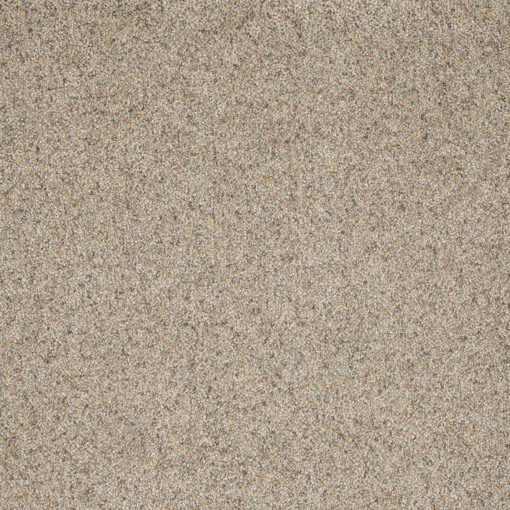 8 in. x  8 in. Texture Carpet Sample - Bradmore II -Color Path price history on PriceWatchPro