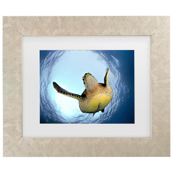 Trademark Fine Art Henry Jager Green Turtle in Snells Window Matted Framed Photography Wall Art 19.5 in. x 23.5 in.