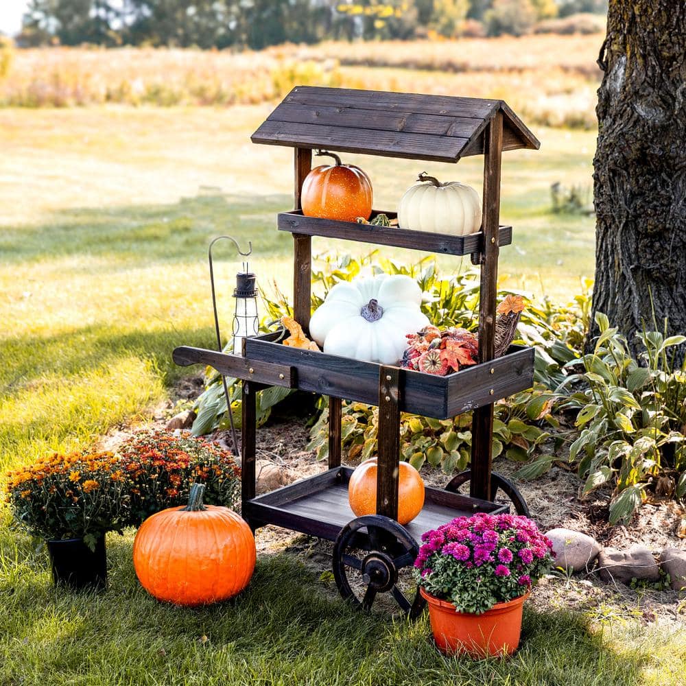 Charred Fir Wood 3-Tier Wheeled Flower Cart Display Stand