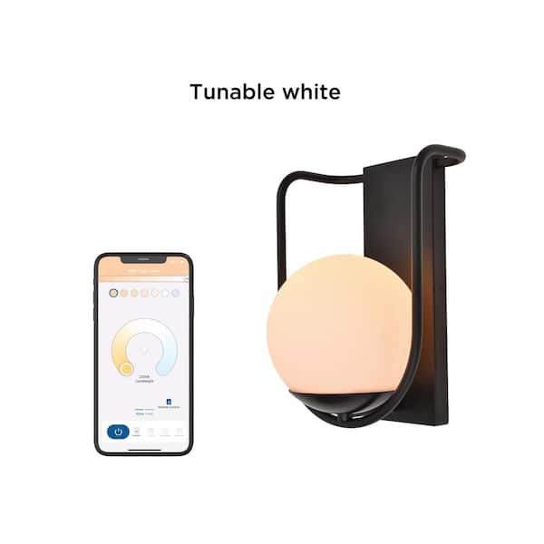 LUTEC 1-Light Black Outdoor Smart WiFi Wall Mount Lantern Sconce with A19  Smart Light Bulb Included 5106801012 - The Home Depot