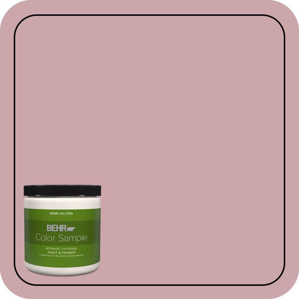 8 oz. #HDC-CT-08A Hydrangea Bouquet Semi-Gloss Interior/Exterior Paint & Primer Color Sample price history on PriceWatchPro