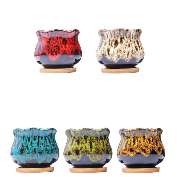 5-Pack 0.8 Qt. (4 in. W x 3.7 in. H) Cute Ceramic Succulent Garden Pots, Planter with Drainage and Attached Saucer