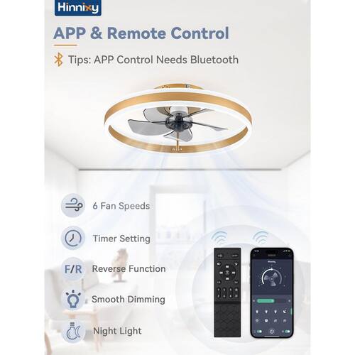 20 in. Smart Indoor Gold Flush Mount Color Changing LED Ceiling Fan with Light Kit and Remote and App Control Lighting