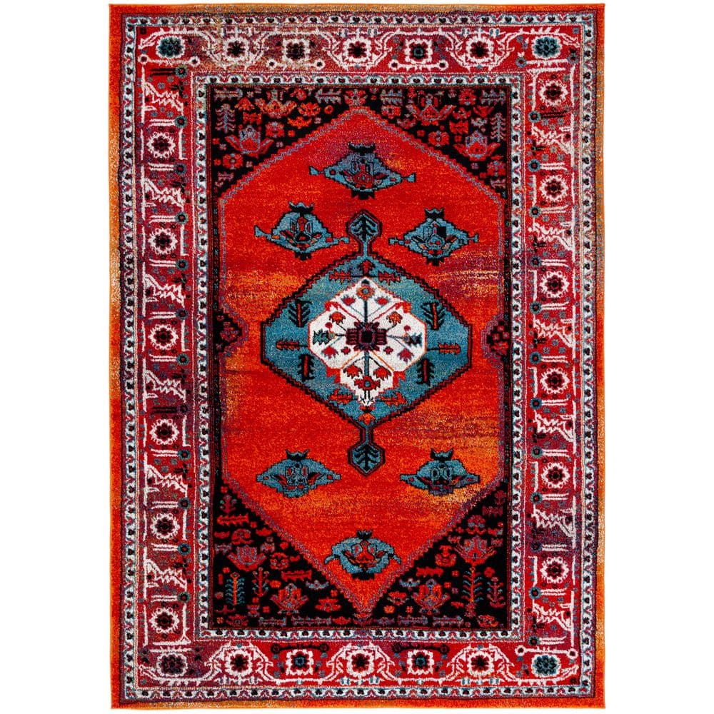 Vintage Hamadan 5 ft. x 8 ft. Red/Blue Medallion Ornate Border Area Rug price history on PriceWatchPro