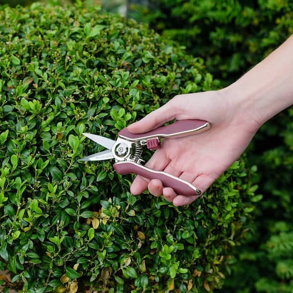 Garden Scissors - Kent & Stowe Tools Garden Health 