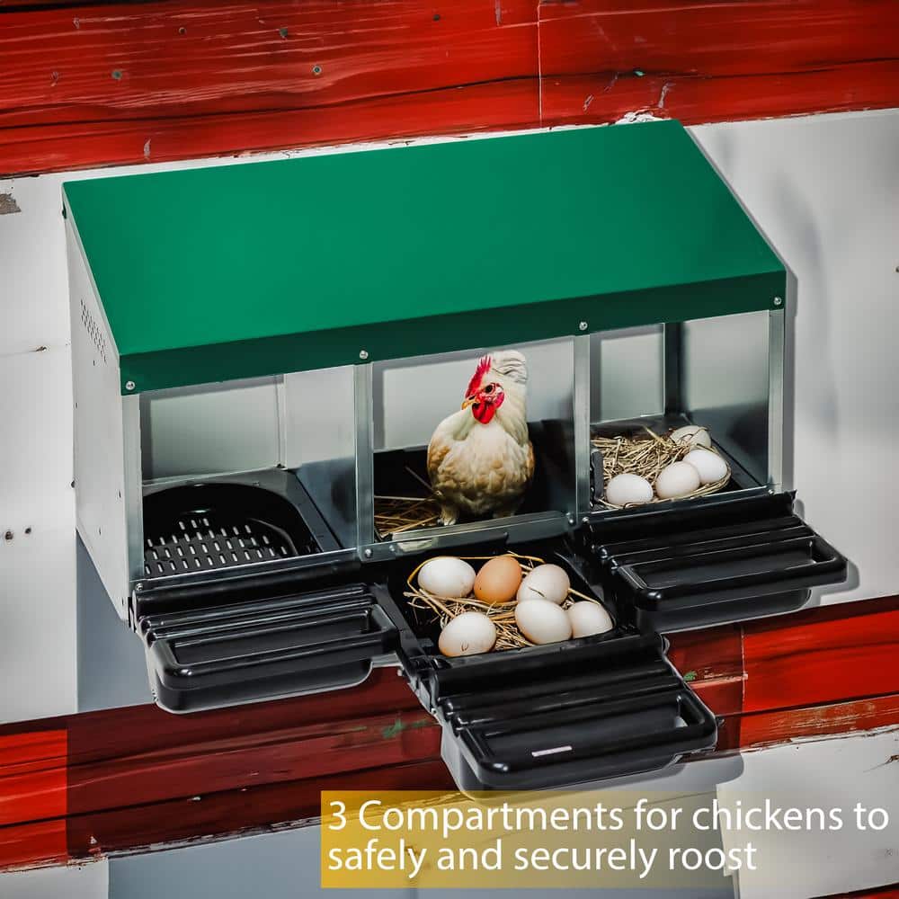 Green Galvanized Steel 3-Compartment Chicken Nesting Box