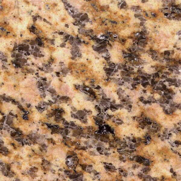 Pegasus 4 in. x 4 in. Montesol Granite Sample