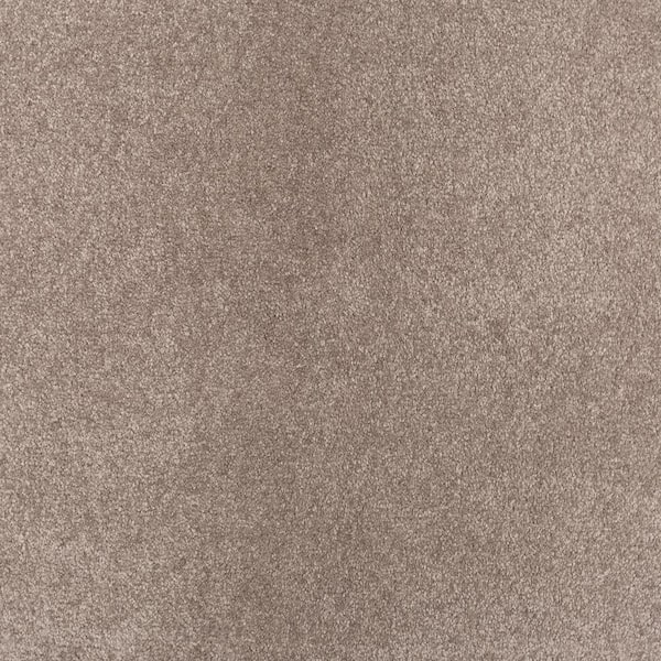 Lifeproof with Petproof Technology Waking Up I Silken Gray 37 oz. Triexta Textured Installed Carpet