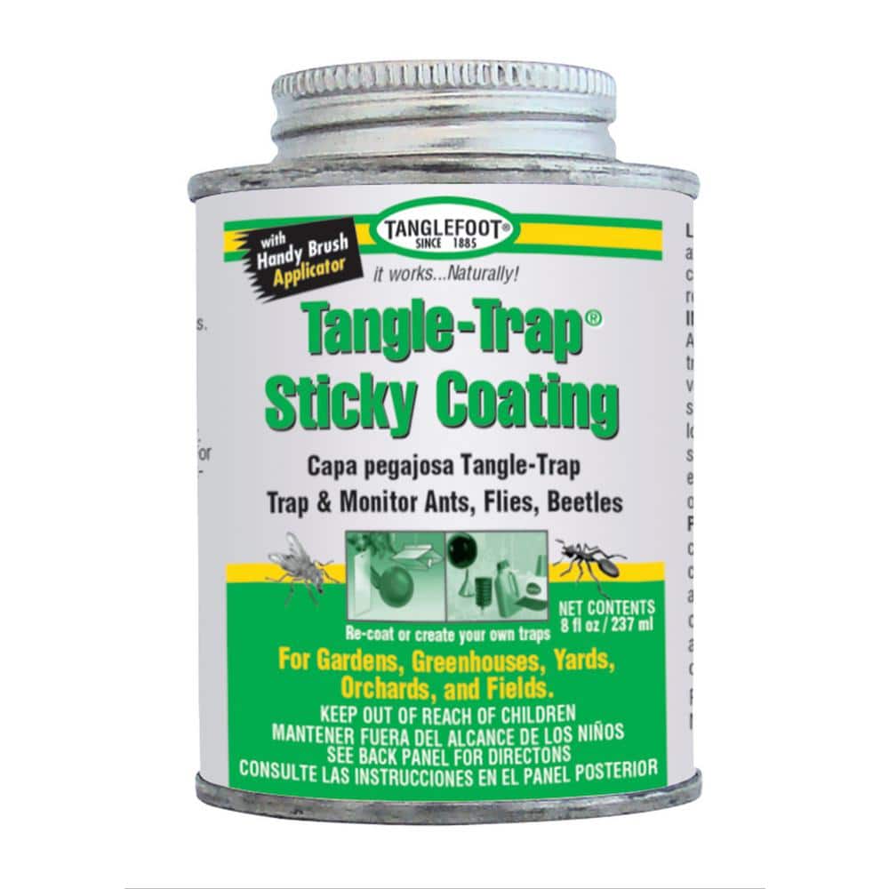Tanglefoot Tangle-Trap Insect Trap 8 oz