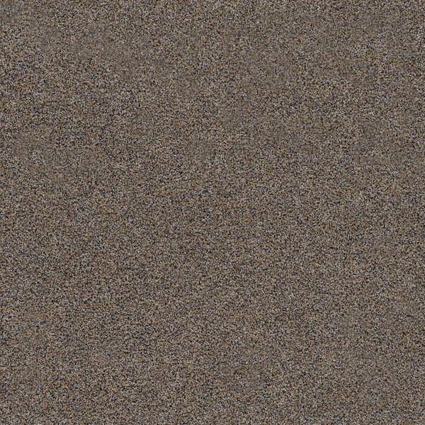 8 in. x 8 in. Texture Carpet Sample-Dewdrop III-Color Serene