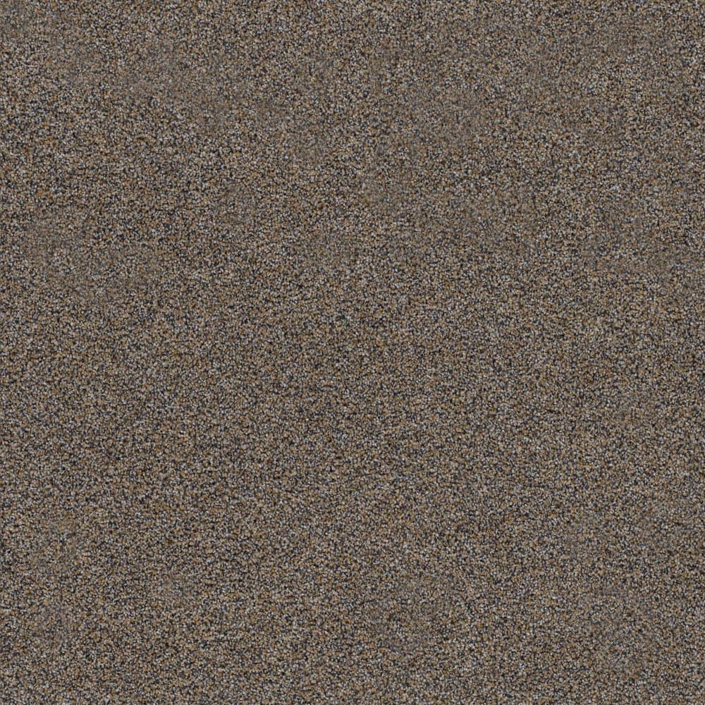 8 in. x 8 in. Texture Carpet Sample-Dewdrop II-Color Serene price history on PriceWatchPro